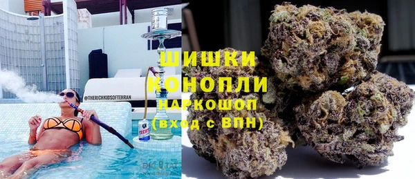 гидропоника Алзамай