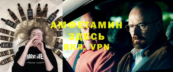 хмурый Ельня