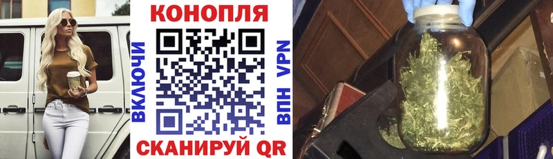 купить закладку  мега вход  shop формула  Моздок  Конопля индика 